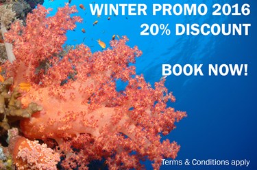 Winter Promo 2016